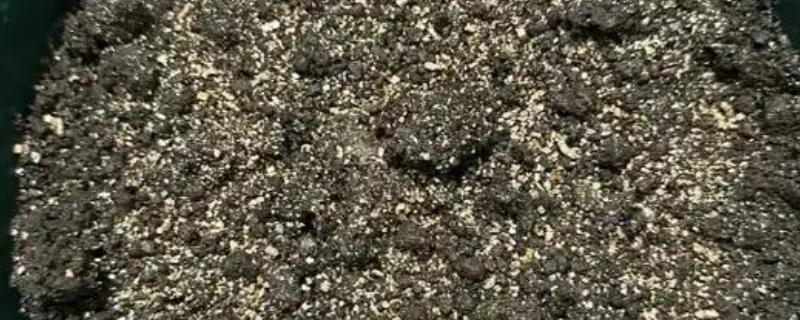 生根粉怎么拌土使用，稀释成浆糊状再倒入土壤拌匀