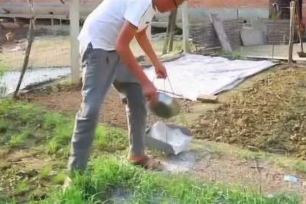 韭菜用上草木灰后要浇水吗，无需浇水