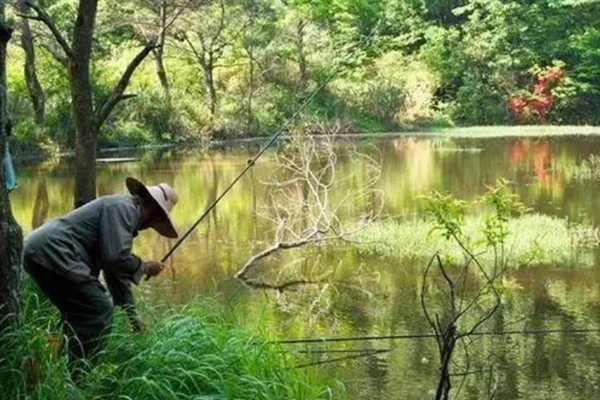 初秋降温天气好不好钓鱼,初秋降温天气好钓鱼