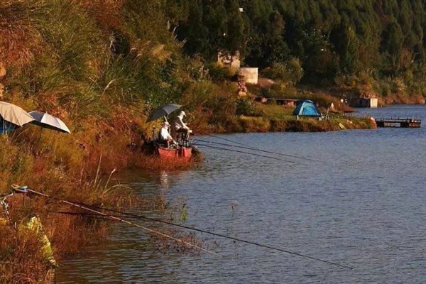 初秋降温天气好不好钓鱼,初秋降温天气好钓鱼