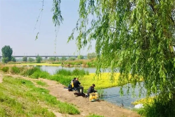 初秋降温天气好不好钓鱼,初秋降温天气好钓鱼