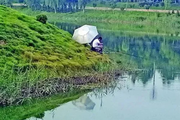 初秋降温天气好不好钓鱼,初秋降温天气好钓鱼
