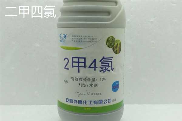 使用哪种除草剂可以灭杀节节草的根系，二甲四氯、氟磺胺草醚等药物具有除根效果