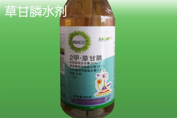 使用哪种除草剂可以灭杀节节草的根系，二甲四氯、氟磺胺草醚等药物具有除根效果