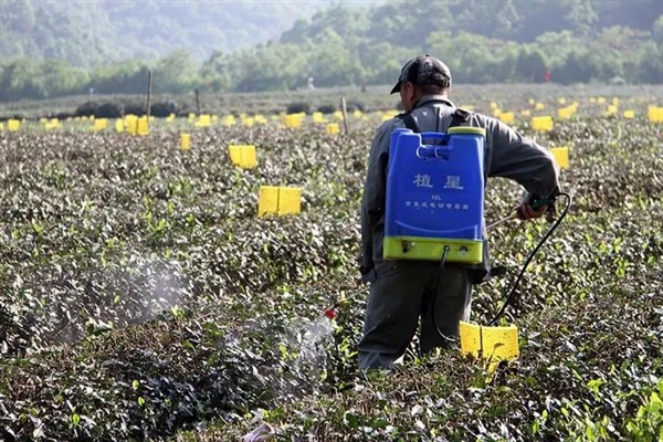 使用哪种除草剂可以灭杀节节草的根系，二甲四氯、氟磺胺草醚等药物具有除根效果