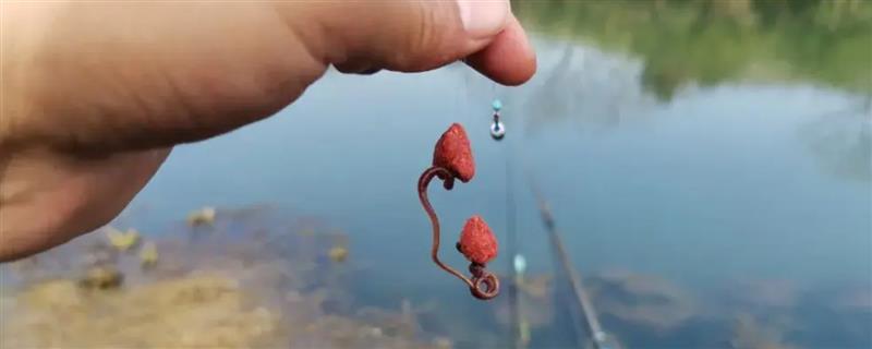 冬天用蚯蚓钓鱼的技巧，建议在气温略高的中午作钓