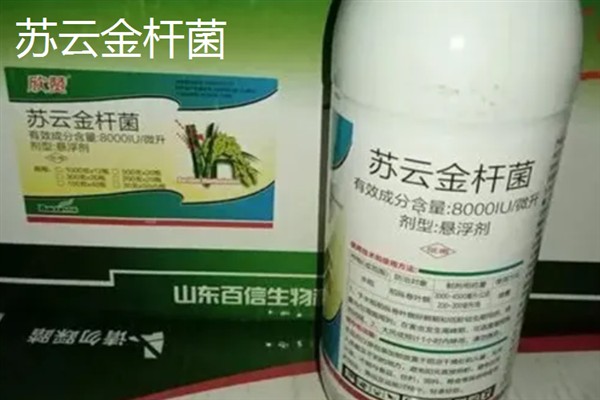 松毛虫用什么药可以杀死，推荐白僵菌、苏云金杆菌等