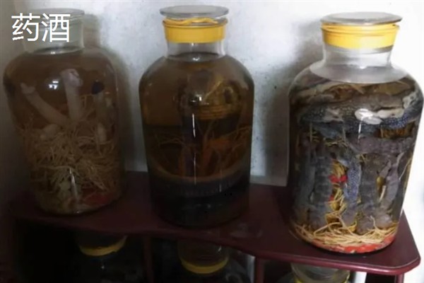 用西部风老坛玉米钓鲤鱼好不好，诱鱼速度快且留鱼时间久