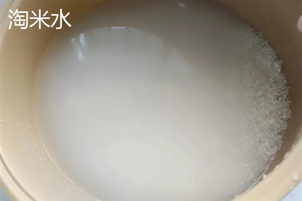 用西部风老坛玉米钓鲤鱼好不好，诱鱼速度快且留鱼时间久