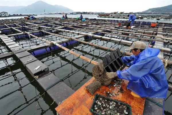 中国的鲍鱼产地，主产于北部沿海和南部沿海