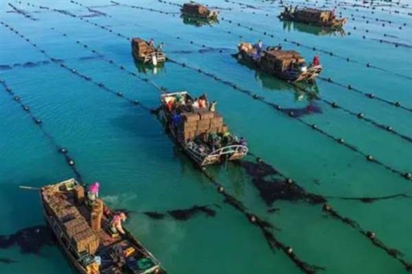 中国的鲍鱼产地，主产于北部沿海和南部沿海