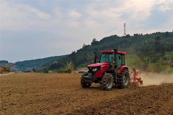 大豆播种前要准备什么，做好翻耕、灌水、除草等工作