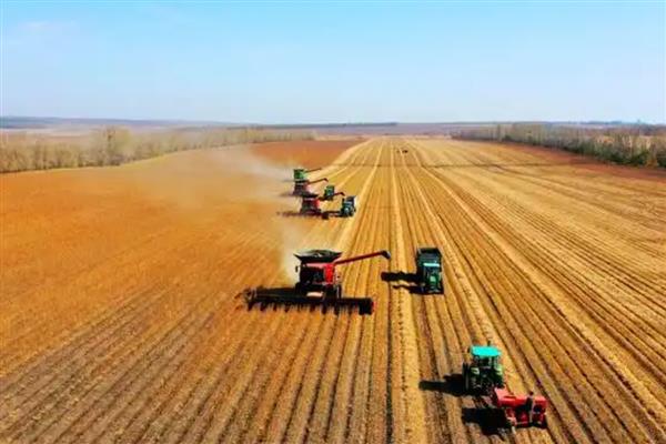 大豆播种前要准备什么，做好翻耕、灌水、除草等工作