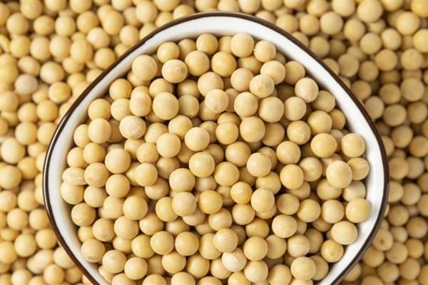 大豆播种前要准备什么，做好翻耕、灌水、除草等工作