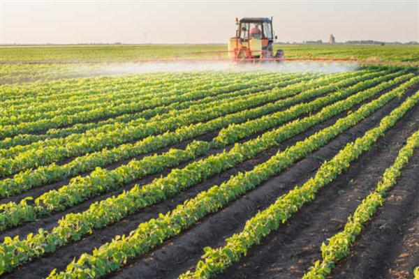 大豆播种前要准备什么，做好翻耕、灌水、除草等工作