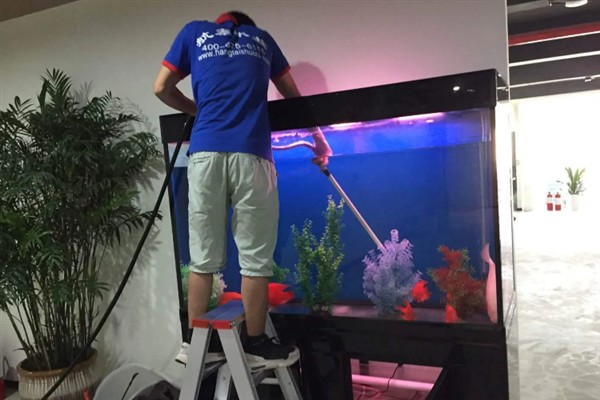 鱼缸水出现白雾浑浊如何处理，因喂食太多所致需减少饲喂量