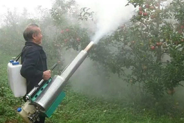 为什么要施叶面肥，可补充根部施肥的不足