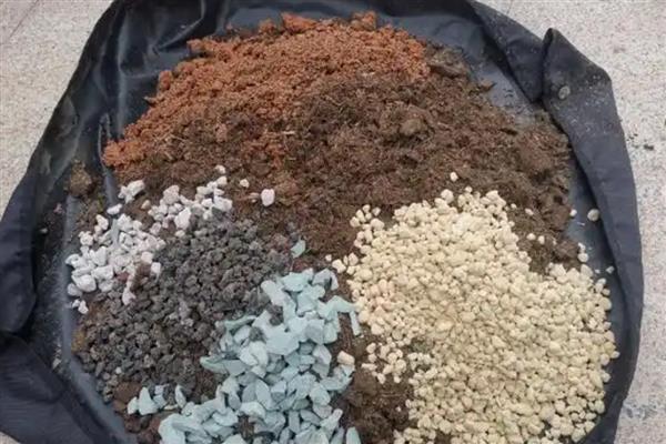 多肉的配土方法，推荐以下10种方法