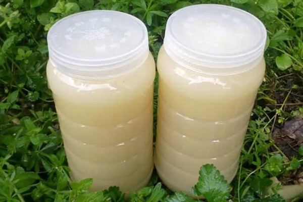 油菜花蜜的简介，是蜜蜂用油菜的花蜜酿制而成