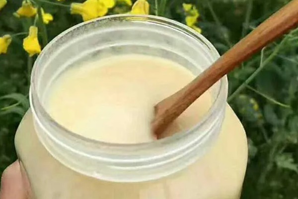 油菜花蜜的简介，是蜜蜂用油菜的花蜜酿制而成