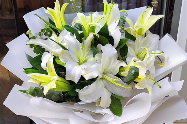 三朵百合花的含义，代表我爱你