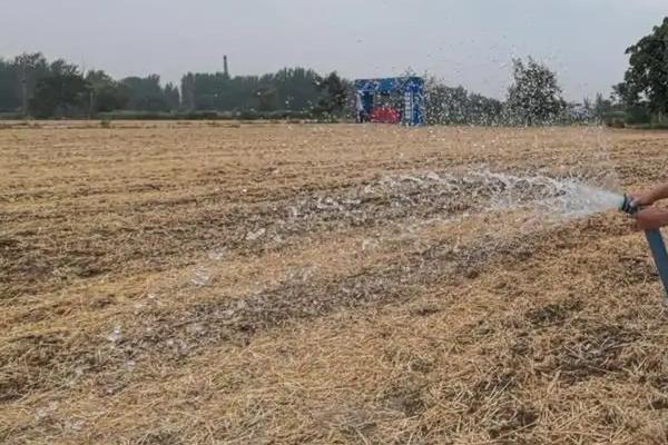 丝瓜早春怎么育苗，育苗盘每穴播种一粒