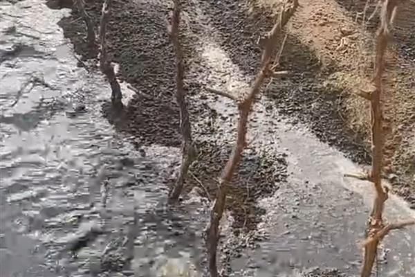 冬天能不能嫁接葡萄树，植株已停止生长嫁接后无法成活