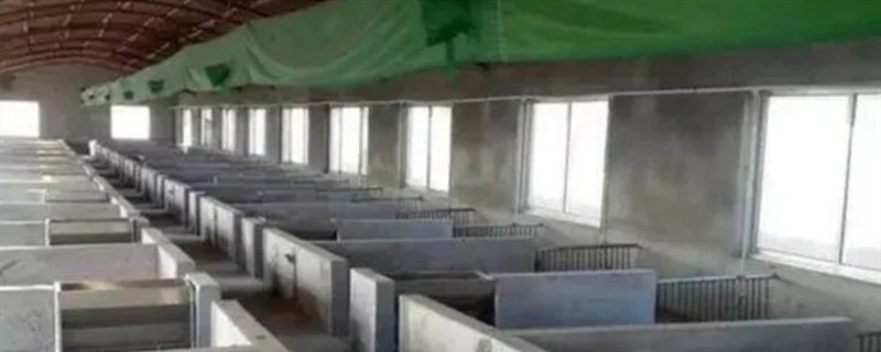 猪舍通风换气如何设计,猪圈高度约2.6m比较合适