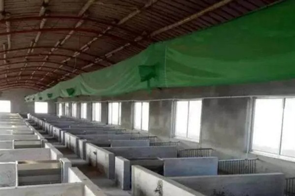 猪舍通风换气如何设计，猪圈高度约2.6m比较合适