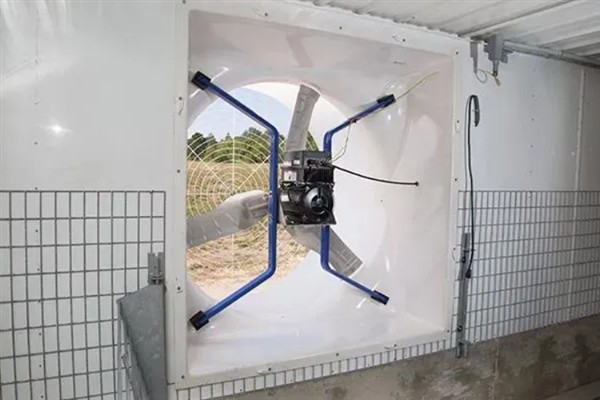 猪舍通风换气如何设计，猪圈高度约2.6m比较合适