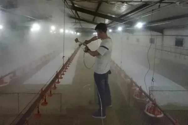 猪舍通风换气如何设计，猪圈高度约2.6m比较合适