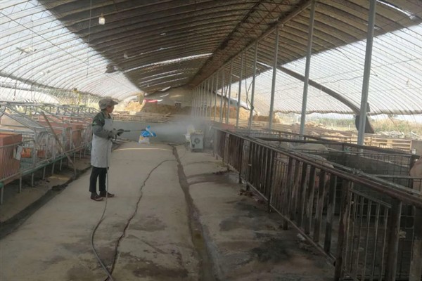 猪舍通风换气如何设计，猪圈高度约2.6m比较合适