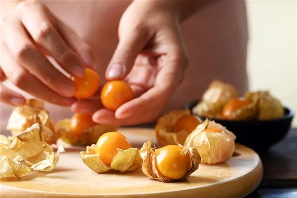 灯笼果的挑选方法,饱满有肉的果实更新鲜