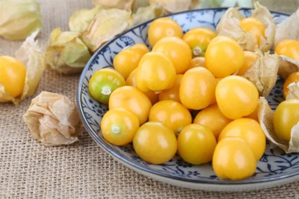 灯笼果的挑选方法,饱满有肉的果实更新鲜