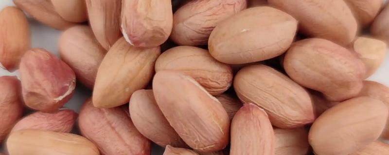 花生种子怎么挑选，可通过品种和外形来选择