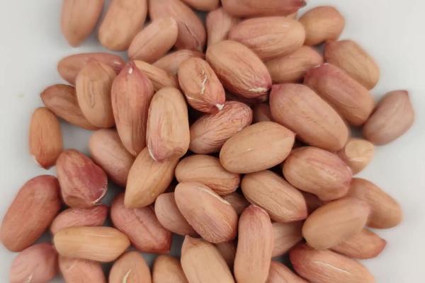 花生种子怎么挑选，可通过品种和外形来选择