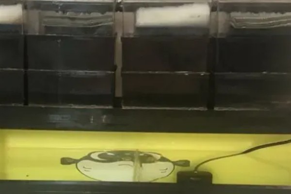 裸缸可以培养硝化菌吗，裸缸也可以培养硝化菌