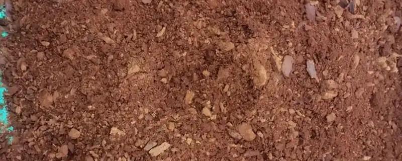 用油饼做肥料的方法，粉碎后装入容器中并加水发酵