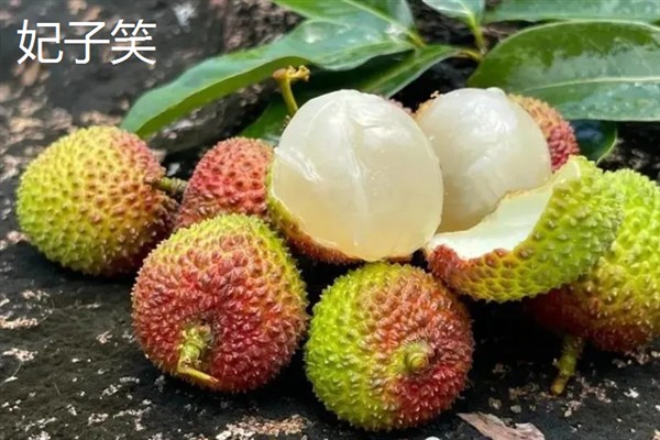荔枝有哪些好吃的品种，推荐糯米糍、仙进奉等