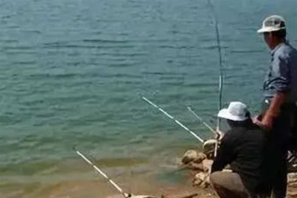 深秋怎么钓鲫鱼，选择在深水区作钓
