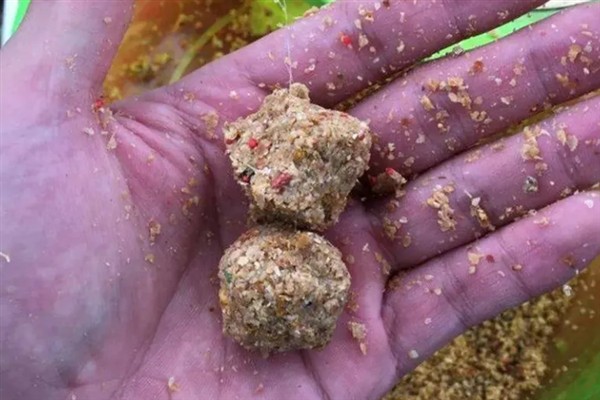 深秋怎么钓鲫鱼，选择在深水区作钓