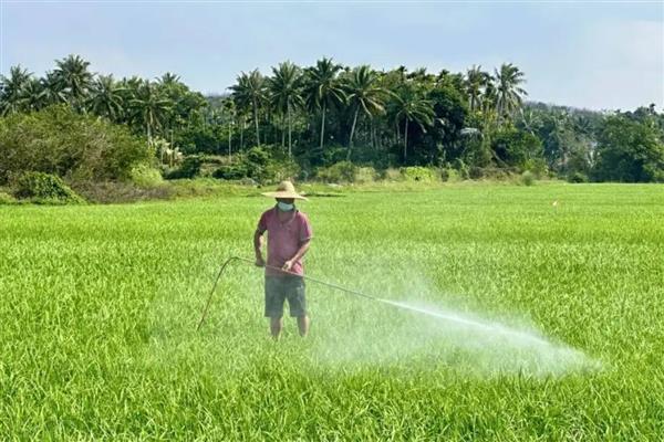 蚧壳虫的防治方法，数量较多时可喷施吡虫啉等药物