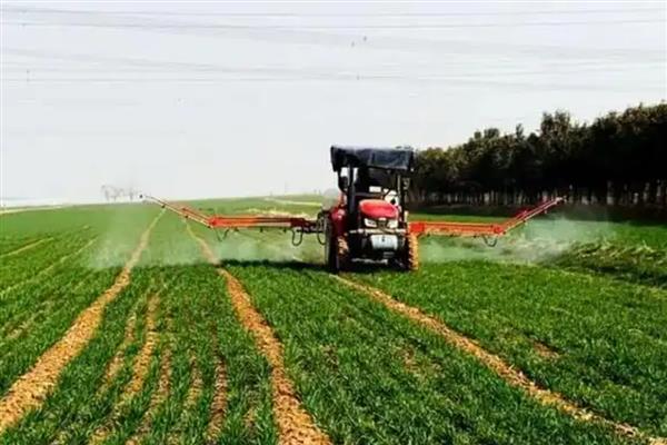 蚧壳虫的防治方法，数量较多时可喷施吡虫啉等药物