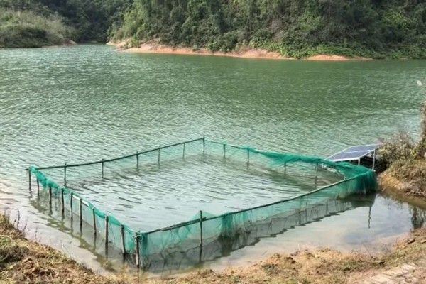 水库养鱼的方法，选择背风向阳且光照充足的水库