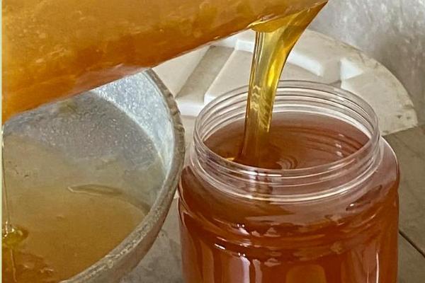 龙眼蜜是哪种蜜，是蜜蜂采集龙眼花蜜酿制成的