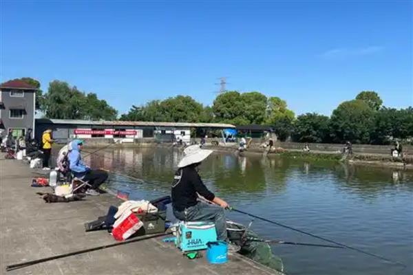 钓鲢鳙用多大的钩，一般用8到10号的钩