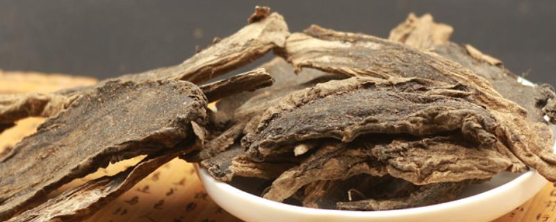 玄参的开花时间，6-10月份是它的花期