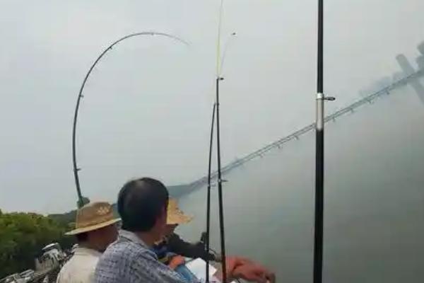 江鼠的产地，广泛分布在长江至珠江各水系