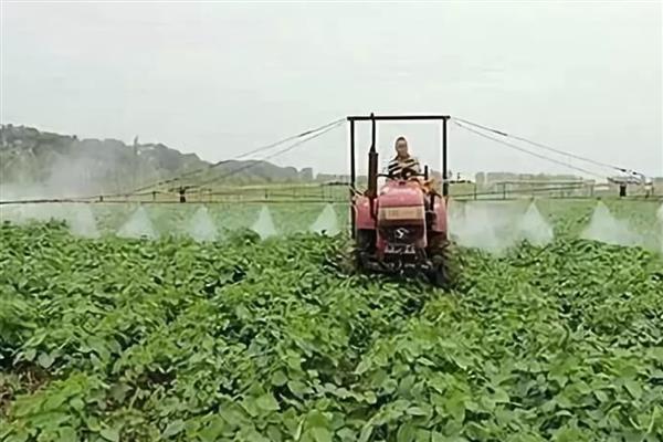 大豆长出多少叶片可以打除草剂，长出3个三出复叶时适合打药
