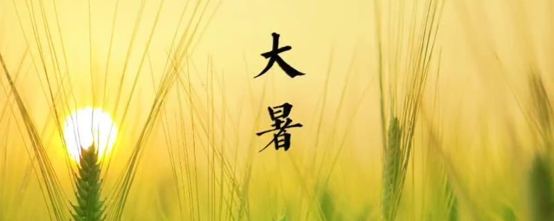 大暑节气的习俗，主要有喝伏茶、烧伏香、晒伏姜